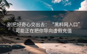 别把好奇心交出去：“黑料网入口”可能正在把你导向虚假充值