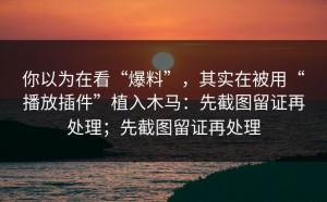 你以为在看“爆料”，其实在被用“播放插件”植入木马：先截图留证再处理；先截图留证再处理