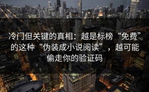 冷门但关键的真相：越是标榜“免费”的这种“伪装成小说阅读”，越可能偷走你的验证码