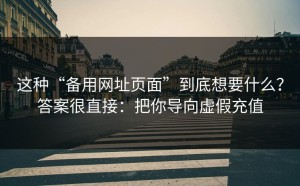 这种“备用网址页面”到底想要什么？答案很直接：把你导向虚假充值