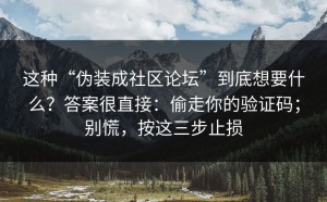 这种“伪装成社区论坛”到底想要什么？答案很直接：偷走你的验证码；别慌，按这三步止损