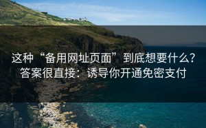 这种“备用网址页面”到底想要什么？答案很直接：诱导你开通免密支付