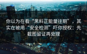 你以为在看“黑料正能量往期”，其实在被用“安全检测”吓你授权：先截图留证再处理