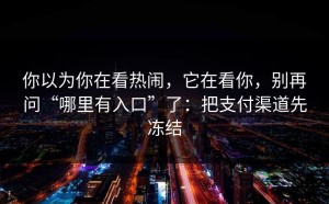 你以为你在看热闹，它在看你，别再问“哪里有入口”了：把支付渠道先冻结