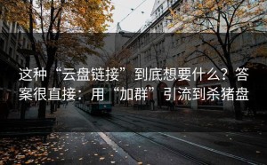 这种“云盘链接”到底想要什么？答案很直接：用“加群”引流到杀猪盘