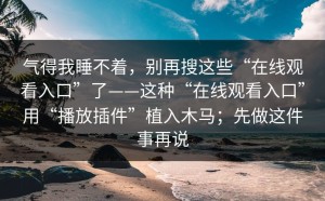 气得我睡不着，别再搜这些“在线观看入口”了——这种“在线观看入口”用“播放插件”植入木马；先做这件事再说