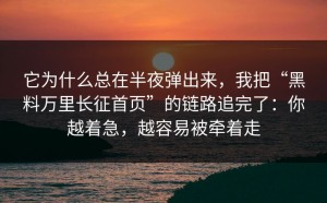 它为什么总在半夜弹出来，我把“黑料万里长征首页”的链路追完了：你越着急，越容易被牵着走