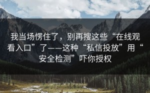 我当场愣住了，别再搜这些“在线观看入口”了——这种“私信投放”用“安全检测”吓你授权