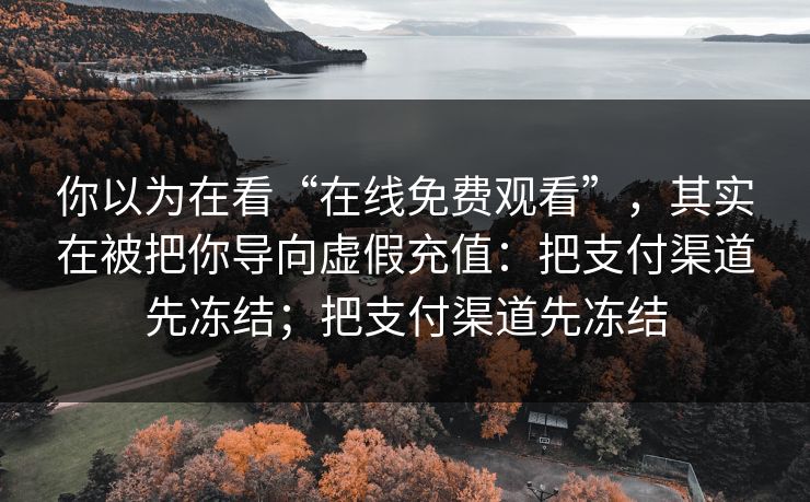 你以为在看“在线免费观看”，其实在被把你导向虚假充值：把支付渠道先冻结；把支付渠道先冻结