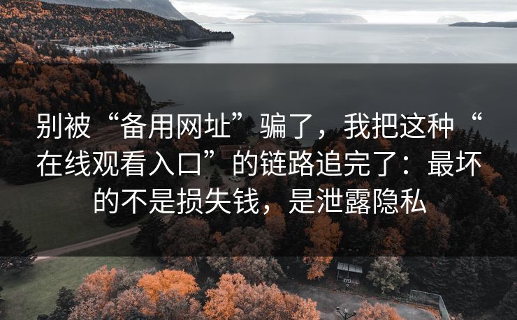 别被“备用网址”骗了，我把这种“在线观看入口”的链路追完了：最坏的不是损失钱，是泄露隐私