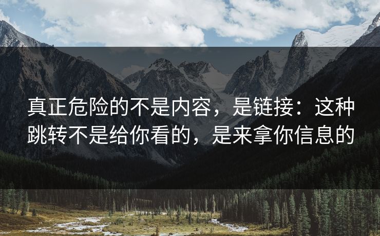真正危险的不是内容,是链接:这种跳转不是给你看的,是来拿你信息的 真正危险的不是内容,是链接:这种跳转不是给你看的,是来拿你信息的