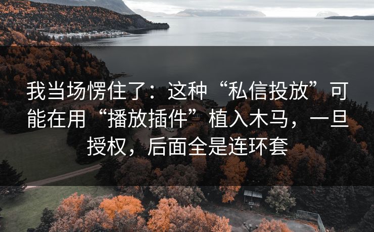 我当场愣住了：这种“私信投放”可能在用“播放插件”植入木马，一旦授权，后面全是连环套