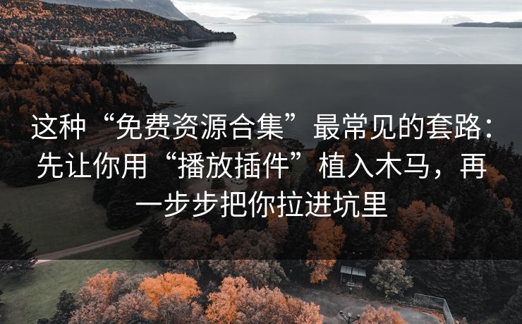这种“免费资源合集”最常见的套路：先让你用“播放插件”植入木马，再一步步把你拉进坑里