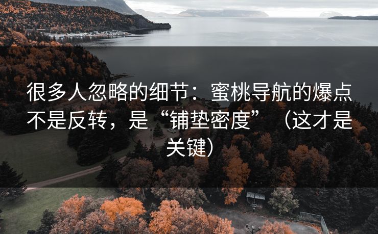 很多人忽略的细节：蜜桃导航的爆点不是反转，是“铺垫密度”（这才是关键）