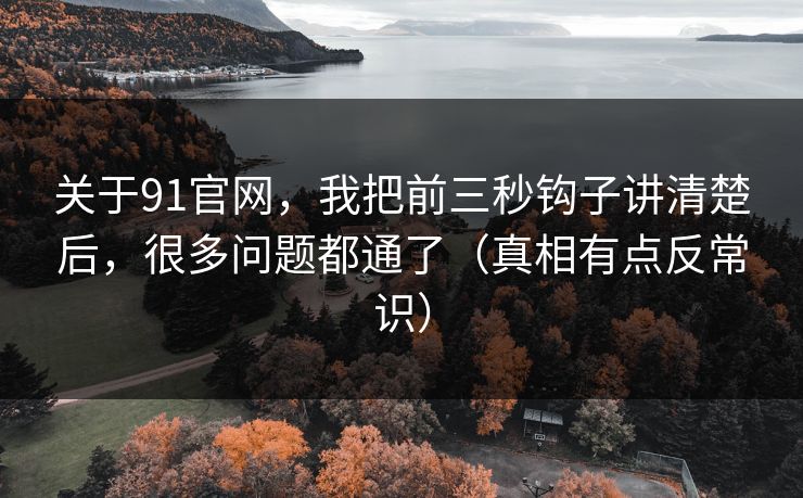 关于91官网，我把前三秒钩子讲清楚后，很多问题都通了（真相有点反常识）